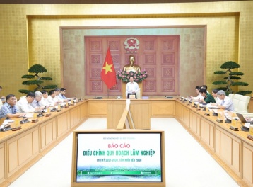 Quy hoạch lâm nghiệp phải giải quyết thực chất sinh kế, để đời sống người giữ rừng tốt hơn
