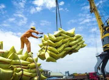 Điều kiện kinh doanh xuất khẩu gạo