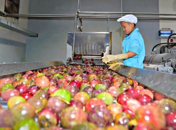 EU siết chặt quy định môi trường, doanh nghiệp Việt cần chủ động thích ứng