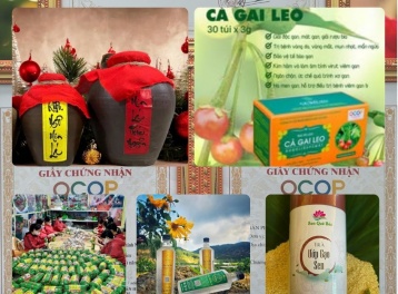 Xây dựng thương hiệu, mở rộng thị trường và gia tăng giá trị sản phẩm OCOP