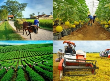 Quy định mới nhất về cơ chế phát triển sản xuất liên kết theo chuỗi giá trị