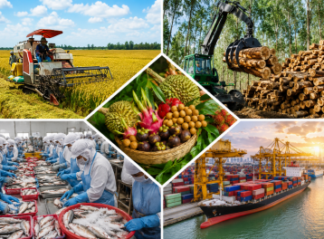 Xuất khẩu nông, lâm, thủy sản đạt gần 63 tỷ USD trong 10 tháng