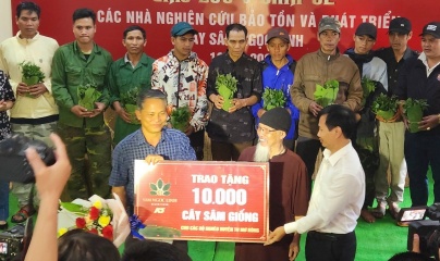 Công ty CP Sâm Ngọc Linh Kon Tum trao 10.000 cây sâm giống cho các hộ nghèo huyện Tu Mơ Rông 