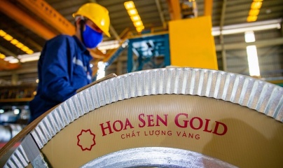 Hoa Sen Group bị phạt và truy thu gần 3 tỷ đồng tiền thuế