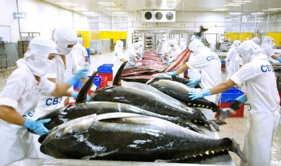 Chile - Thị trường tiềm năng cho cá ngừ Việt Nam