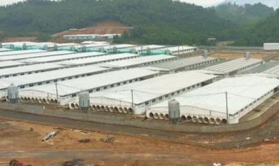 Thanh Hoá: Huyện Lang Chánh ra “tối hậu thư” cho doanh nghiệp chăn nuôi lợn gây phát tán mùi hôi