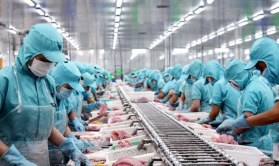 Top 5 thị trường xuất khẩu mực, bạch tuộc lớn nhất của Việt Nam