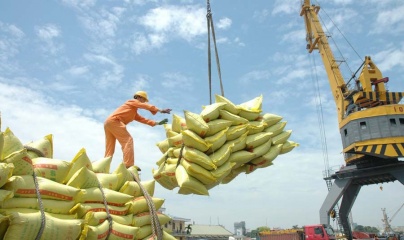 Gạo xuất khẩu của Việt Nam tiếp tục đà tăng giá