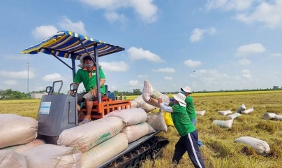 Bộ Công Thương lý giải về giá gạo xuất khẩu đang ở mức thấp nhất 2 năm