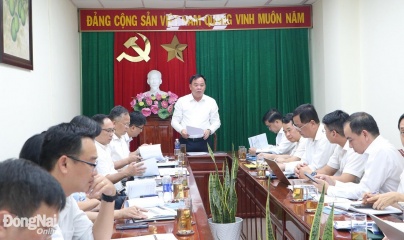 Đồng Nai xem xét đầu tư tuyến đường trên cao trị giá 12.000 tỷ đồng