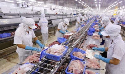 EU sẽ kiểm soát asen vô cơ với thủy sản, doanh nghiệp Việt cần chủ động ứng phó