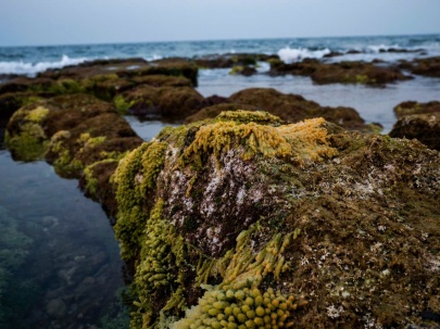 Đảo tiền tiêu Cồn Cỏ - “viên ngọc thô” của tỉnh Quảng Trị