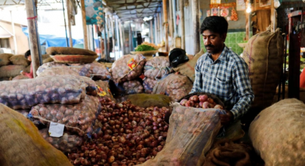 Ấn Độ áp thuế xuất khẩu 40% với hành tây