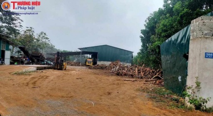 Thanh Hóa: Yêu cầu dừng sản xuất xưởng keo băm ở làng Nhỏi, xã Cao Ngọc sau phản ánh của TH&PL 