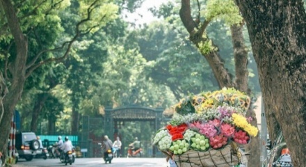 Dự báo thời tiết ngày 22/12: Bắc Bộ rét về đêm và sáng sớm, trưa chiều nắng ấm 