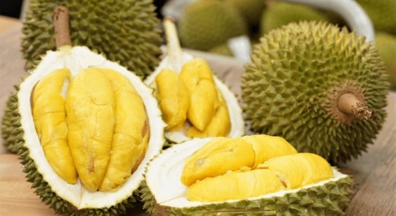 Sầu riêng, cà phê bứt phá đưa kim ngạch xuất khẩu toàn ngành tiến sát kỷ lục 