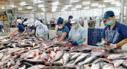 Xuất khẩu thủy sản Việt Nam lần đầu vượt mốc lịch sử 11 tỷ USD