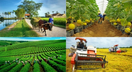 7 nhiệm vụ trọng tâm của ngành Nông nghiệp và Môi trường trong năm 2026