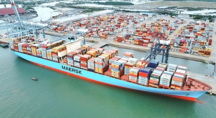 Giải cứu thành công gần 500 container chè Việt Nam bị kẹt tại cảng Karachi, Pakistan