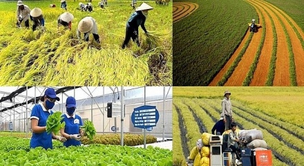 Loạt chính sách mới chính thức áp dụng từ tháng 1/2026