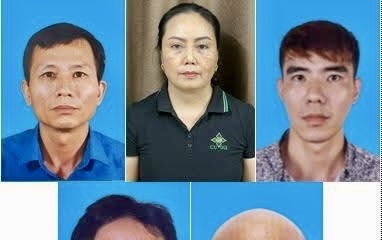 Hải Phòng: Khởi tố 9 đối tượng vận chuyển, mua bán hơn 130 tấn thịt lợn nhiễm dịch