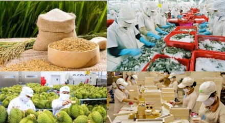 Năm 2026, cả nước phấn đấu xuất siêu trên 23 tỷ USD