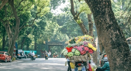 Dự báo thời tiết ngày 12/1: Bắc Bộ nắng hanh, trời rét về đêm và sáng sớm