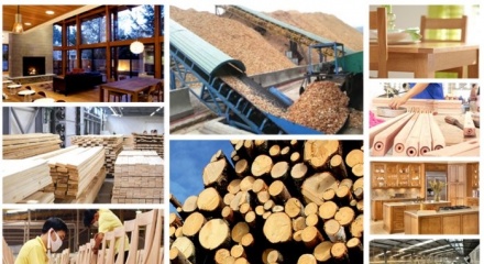 Xuất khẩu gỗ cán mốc 17,2 tỷ USD, đồ gỗ nội thất tiếp tục là 'trụ cột'