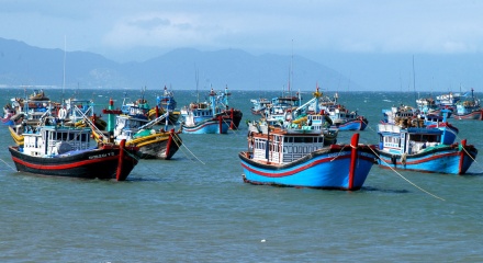 Kiên quyết gỡ 'Thẻ vàng', bảo vệ uy tín quốc gia và sinh kế bền vững cho ngư dân