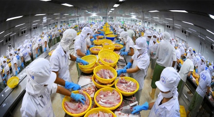 Ngành thủy sản Việt Nam lập kỷ lục 11,3 tỷ USD trong năm 2025