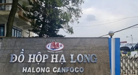 Hải Phòng: Khởi tố Tổng Giám đốc Công ty Cổ phần Đồ hộp Hạ Long 