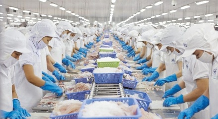 Top 10 doanh nghiệp xuất khẩu thủy sản lớn nhất năm 2025
