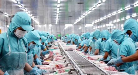 Xuất khẩu thủy sản Việt Nam bước vào giai đoạn mới