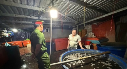 TP.HCM: Triệt phá đường dây ngâm 3.000 tấn ốc bươu bằng hóa chất