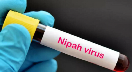 Bộ Y tế yêu cầu cách ly nghiêm ngặt các trường hợp nghi ngờ mắc virus Nipah