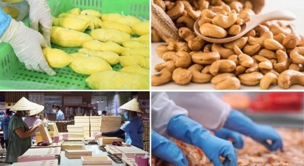 Ngành Nông nghiệp và Môi trường đặt mục tiêu xuất khẩu 74 tỷ USD trong năm 2026