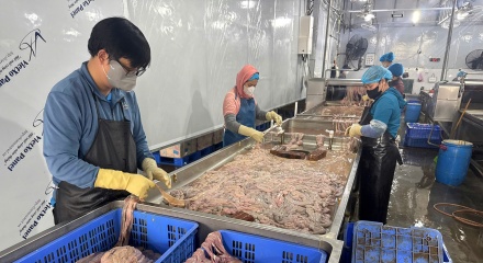 Thu giữ gần 60 tấn lòng lợn đổi màu, bốc mùi hôi thối ở Hà Nội