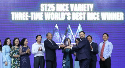 Gạo ST25 lần thứ 3 được vinh danh 'Gạo ngon nhất thế giới'