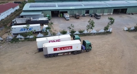 Hải quan triển khai trực 24/7: Ưu tiên thông quan thực phẩm nhập khẩu dịp cao điểm cuối năm