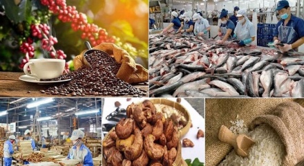 Xuất khẩu nông lâm thủy sản đạt 6,51 tỷ USD trong tháng 1