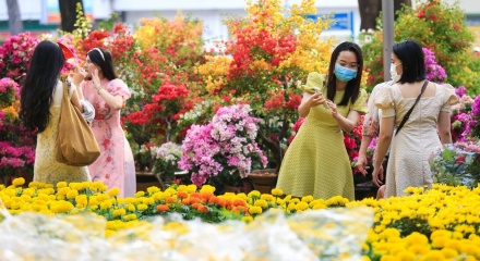 ROX Living Diễn Châu: Điểm hẹn lễ hội và không gian sống – kinh doanh mới của Bắc Nghệ An