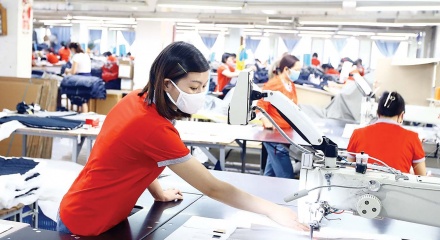 Doanh nghiệp mới được miễn thuế 3 năm: Cơ hội vàng cho người khởi nghiệp