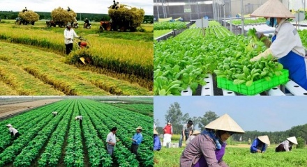 Hỗ trợ Hợp tác xã chuyển đổi số và nâng cao năng lực cạnh tranh năm 2026