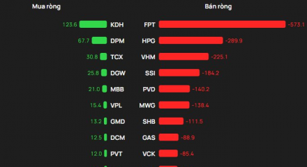 Cổ phiếu dầu khí bị bán tháo, khối ngoại xả ròng kỷ lục hơn 3.200 tỷ đồng