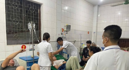 Nghệ An: Ăn rau rừng lạ, 3 người trong một gia đình nhập viện cấp cứu