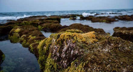 Đảo tiền tiêu Cồn Cỏ - “viên ngọc thô” của tỉnh Quảng Trị