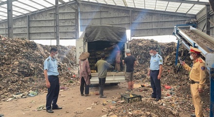 Quảng Ninh tiêu hủy gần 3 tấn lòng lợn bốc mùi và hơn 13.000 gia cầm lậu