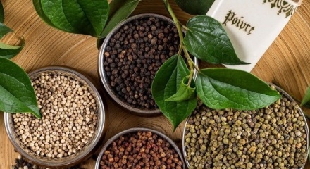 Thị trường nội địa ổn định, xuất khẩu tiêu sang Mỹ tăng vọt gần 61%