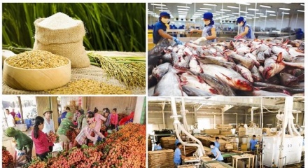 Xuất khẩu nông lâm thủy sản đạt 23 tỷ USD trong 4 tháng