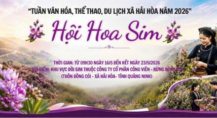 Trải nghiệm Hội Hoa sim và Chợ phiên đặc sắc tại Tuần lễ Du lịch xã Hải Hòa